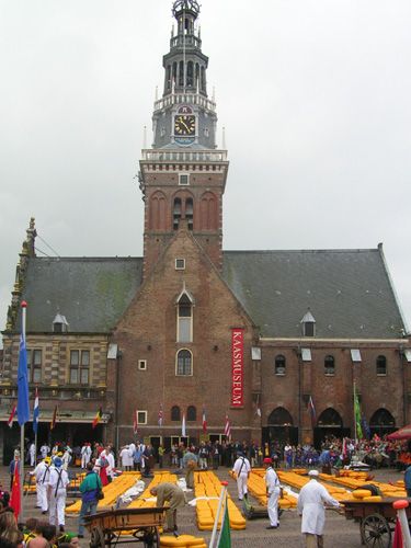 Alkmaar - sýrový trh