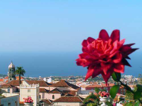 Tenerife - La Orotava