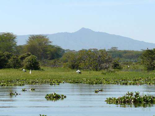 Jezero Naivasha