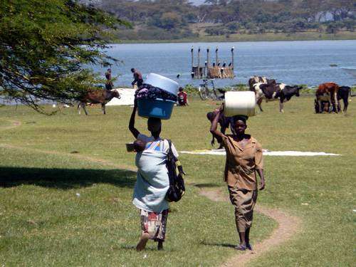 Jezero Naivasha - velké prádlo