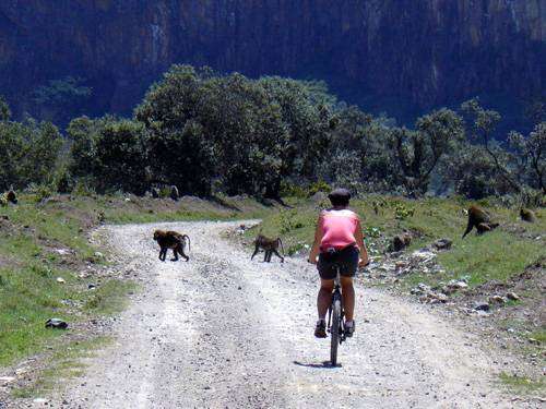 N.P. Hells Gate