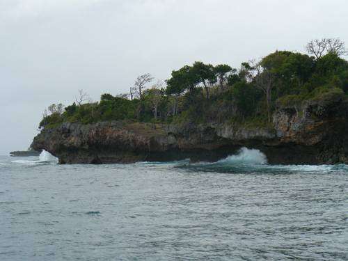 korálové pobřeží ostrova Wasini