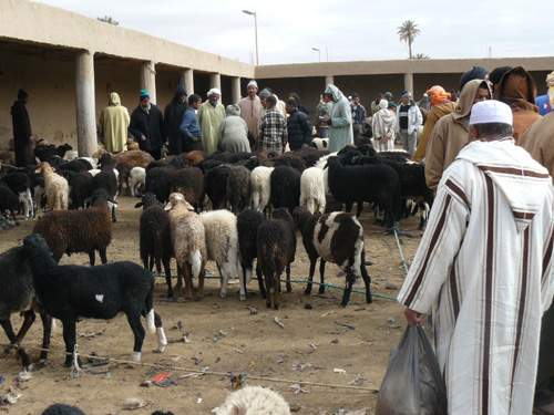 Risani - ovčí trh