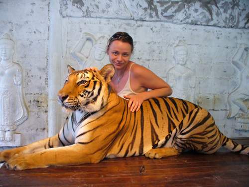 Ko Samui - v jedné kleci s živým tygrem