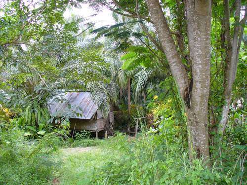 nedaleko Krabi - chudinské slumy