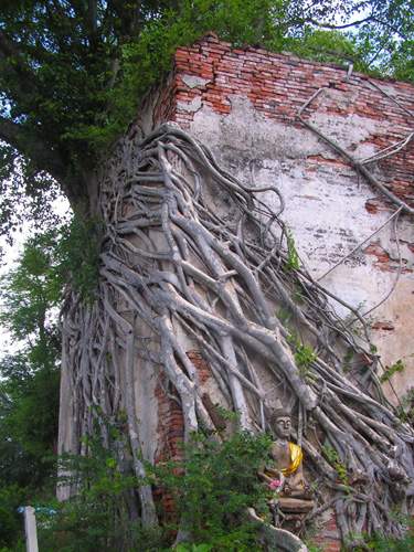 Ayutthaya