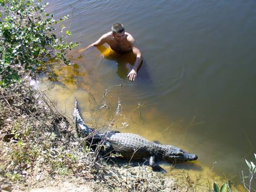 Říkali nám, že aligátor, když není hladový a necítí se ohrožen, ...