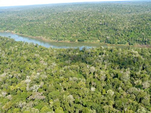 Nekonečná džungle kolem řeky Iguaçu