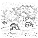 Souostroví sestávající z 19 ostrovů sopečného původu (několik sopek je činných) je slavné díky endemickým druhům, jako jsou ještěři a obrovské suchozemské želvy