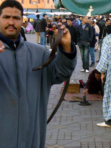 Marrakech - krotitelé hadů
